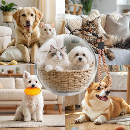 3D video kryštálová guľa – digitálna pamäťová guľa na fotografie a videá